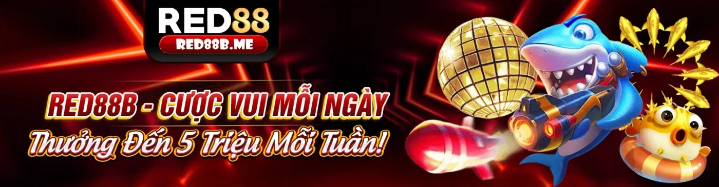 Minh họa quá trình thu thập dữ liệu an toàn tại 55 win