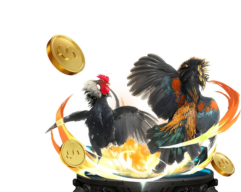 Hoàn Trả Thể Thao